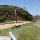 대산면913 이미지