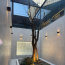 달래내로 | [성남/판교] <다크앤라이트> 크리스마스 방문 후기