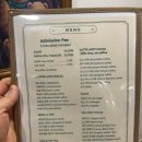 고양이 놀이터 이미지