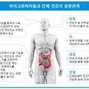 작은세계 이미지