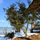 제내농장 이미지