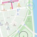 신기시장사거리(롯데리아앞 횡단보도) | 강원도 정선여행 : 정선5일장 날짜, 주차, 맛집, 먹거리 ( 회동집, 윤경이네, 송이버섯)