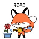 사북여자중학교 이미지