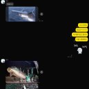 나이스마트도청점 | 와타시의 니혼 여행기 (part one)
