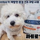가금농장 | 전문 수의사가 개발한 동결건조 코팅 사료 콰트로 급여후기 (feat.크기, 기호성)