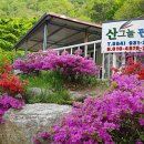 펜션 참조을때 이미지