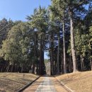 법기수원지 | 경남 양산 동면 법기리 (법기수원지) 산책 후기