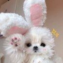 송정남 | 9, 10월 🍂🍁🤎