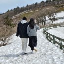 부모님이랑 남자친구랑 1박 2일 여행(강릉, 대관령)