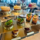 감귤박물관 위 | 제주 9일차[JW메리어트 호텔 겨울 에프터눈티세트, 감귤박물관]