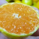 진이네 하우스 이미지