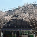 진주야채 | 📌 포항 보경사 진주식당 도토리묵, 야채전 제대로 즐긴 후기 (내돈내산)