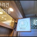 DOG ENT. 도그이엔티 이미지
