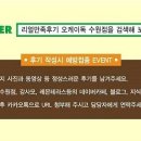 낭만고냥이 이미지