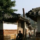 개성 - 완도군 | 개성