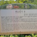 혜순옹주묘 | 혜순옹주 · 김인경 합장묘