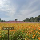 신소양체육공원 이미지