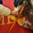 올바로 교육문화센터 이미지