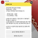 모아월드투어홀딩스(주) | 🕊️w3. 잠실 롯데 에비뉴엘 웨딩밴드 투어 💍 (까르띠에, 샤넬, 티파니앤코, 아크레도)