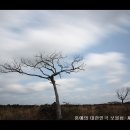 제주하늘바람 이미지