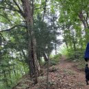 치악산둘레길 5코스 서마니강변길 | [치악산 둘레길]5코스 서마니강변길