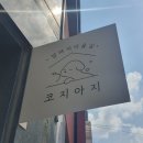 코지아지 이미지