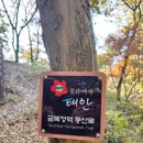 백화산입구(삭선리) 네이버블로그
