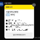 서울대학교병원-본원입원 네이버블로그