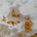 옛시골추어탕 이미지