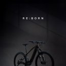 리본샵(Re.born)