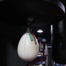 백프로 복싱체육관 이미지