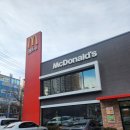맥도날드 한입 초코 츄러스, 슈림프 스낵랩 내돈내산 먹어본 후기