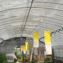 태리농장 이미지