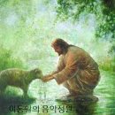 F. 슈베르트 / 여호와는 나의 목자시니 (Gott ist mein Hirt) - 노르웨이언 챔버 콰이어 이미지