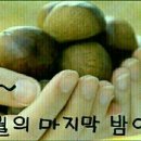 파란하늘펜션 이미지