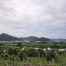 금호강변로 이미지