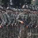 타이거 인공지능 연합뉴스