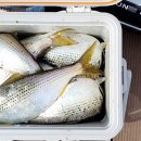 중화어촌계낚시터 이미지