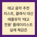 클래식 음악을 즐기는 법 | 태교 음악 추천 리스트, 클래식 대신 애플뮤직 ‘태교 전용’ 플레이리스트 실제 체감은