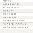 숀쇼니