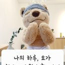 정통 호흡 요가 | [인천] 청라 요가원 | 나의 하루, 요가 | 정통 요가 수련 휠 요가 후기