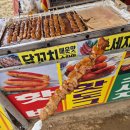 전북 가볼만한곳｜고창 학원농장 청보리밭 축제, 걷기만 해도 힐링