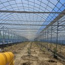 장유농장 이미지