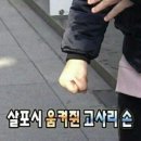 선흘낭 이미지