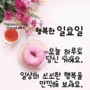 한들로 Daum카페