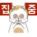 서울키즈플러스치과의원 네이버블로그