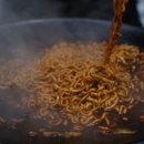 스텔라캠핑