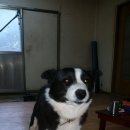 닥터신치과의원 이미지