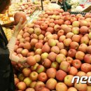 세종특판유통