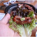 이곱처럼 이미지